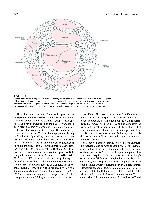Bhagavan Medical Biochemistry 2001, page 463